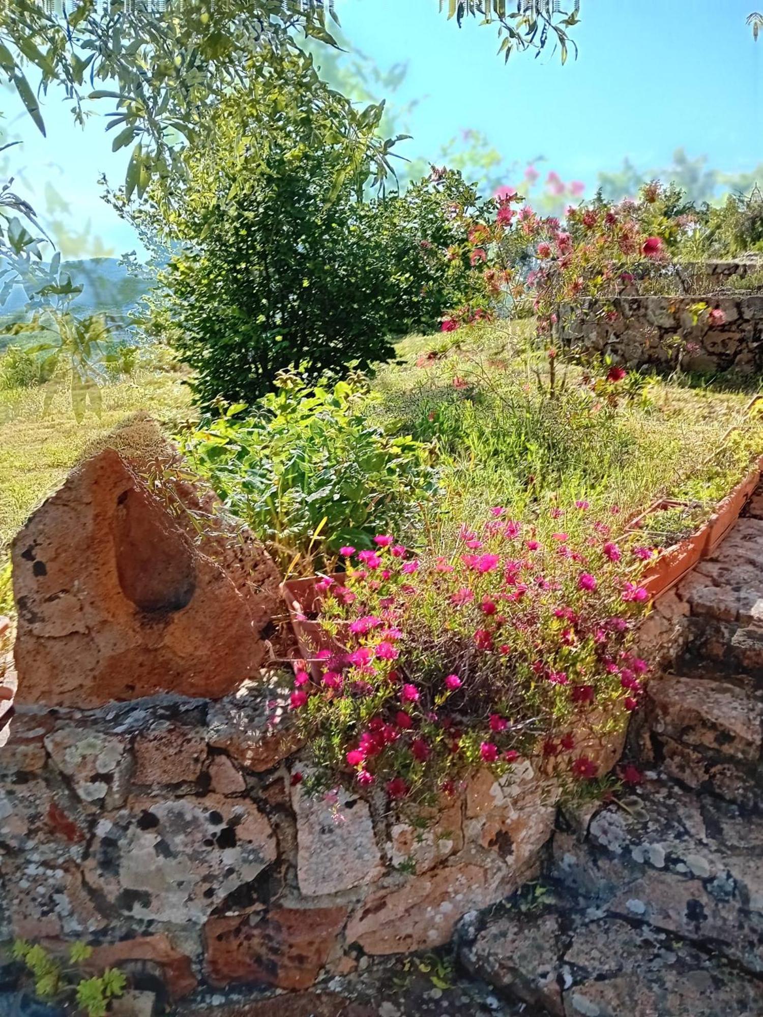 Lugori Acomodação com café da manhã Seùlo Exterior foto